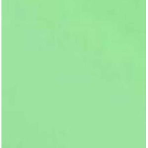 Papel Cartão 65x47 210g Verde Claro 7703 Griffe - 20FL