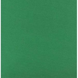 E.V.A Liso 1,5mm 40X48 Verde Grama 31 Ibel - 10FL