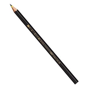 Lápis Preto Nº2 Evolution Hexagonal HB 6835 Bic - 4UN