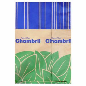 Papel Branco Cenário 66x96cm 90g/m² 090R Chamex - 250FL