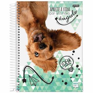 Caderno Universitário 10x1 160 Folhas Pets Love Sortido 68886 Jandaia - 4UN