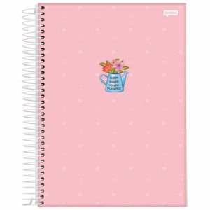 Caderno Universitário 1x1 80 Folhas Iconic Sortido 72799 Jandaia - 4UN