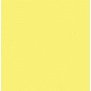 Cartolina 2 Faces 65x48 120g Amarelo 7504 Griffe - 20FL