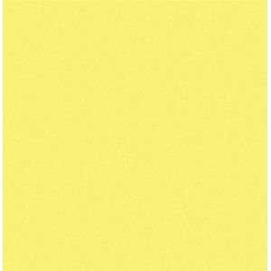 Cartolina 2 Faces 65x48cm Amarelo 120g / 20 folhas / Griffe