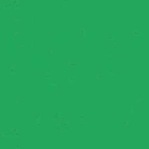 E.V.A Liso 1,5mm 40x60 Verde Bandeira 5695 Ibel - 10FL