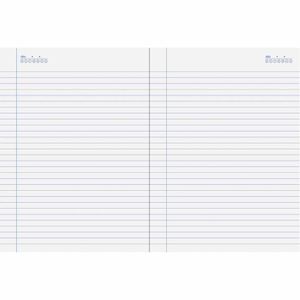 Caderno Capa Dura 1/4 48 Folhas Stiff Azul Jandaia - 10UN