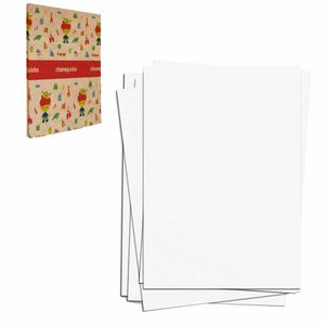 Cartolina 50x66 150G Branco chamequinho CTL150R Chamex - 100FL