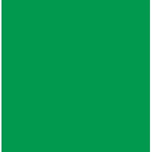 E.V.A Liso 1,5mm 40x48 Verde Bandeira 5678 Ibel - 10FL