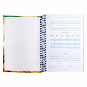 Caderno Espiral Capa Dura 1/4 96 Folhas Brasilidade 42387 Jandaia - 5UN