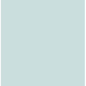 Cartolina 50x66 120g/m² Azul 0660 S.miguel - 100FL