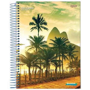 Caderno Universitário 1x1 96 Folhas Brasilidade Sortido 8136 Jandaia - 4UN