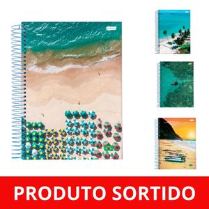 Caderno Universitário 20x1 400 Folhas Brasilidade 08148 Jandaia - 2UN