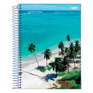 Caderno Universitário 20x1 400 Folhas Brasilidade 08148 Jandaia - 2UN