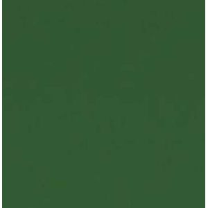 Cartolina 2 Faces 65x48 120g Verde 7502 Griffe - 20FL