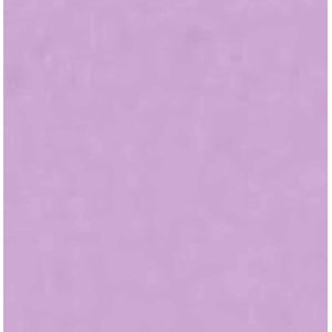 Cartolina 2 Faces 65x48 120g Lilás 7509 Griffe - 20FL