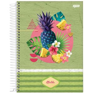 Caderno Universitário 1x1 96 Folhas Malibu Sortido 71041 Jandaia - 4UN