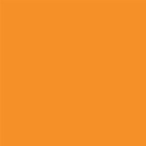 TNT 40g 1,40x50 Laranja (040) 0013 Santa fe - 50MT
