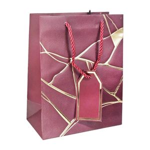 Sacola para Presente 31x42cm Sortido 5964 Amigold - UN