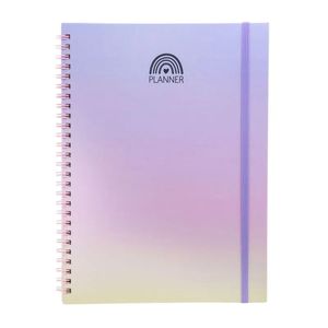 Planner Espiral 88 Folhas Capa Dura Dreams Financeiro NB551 Brw - UN