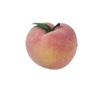 Enfeite Decorativo Plástico Pêssego 8cm 6301 Amigold - UN