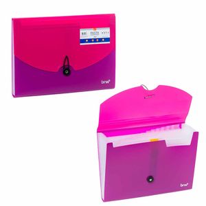 Pasta Sanfonada Plástica com 12 Divisórias A4 Pink Roxo 1003 Brw - UN